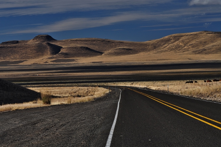 Oregon high desert